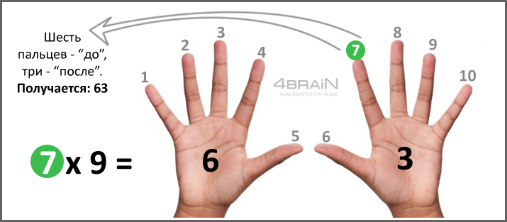 Таблица умножения на пальцах
