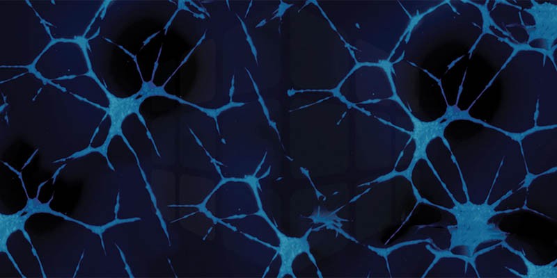Нейробиология успеха: как хакнуть дофаминовую систему
