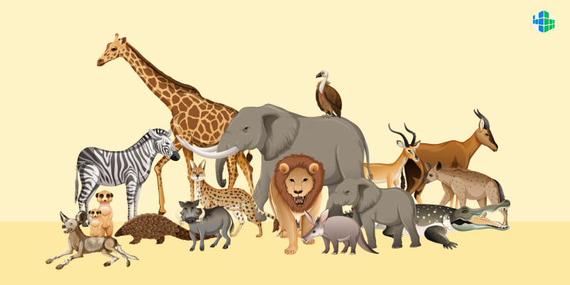 Гипотеза и теория зоопарка: не влезай – убьет!