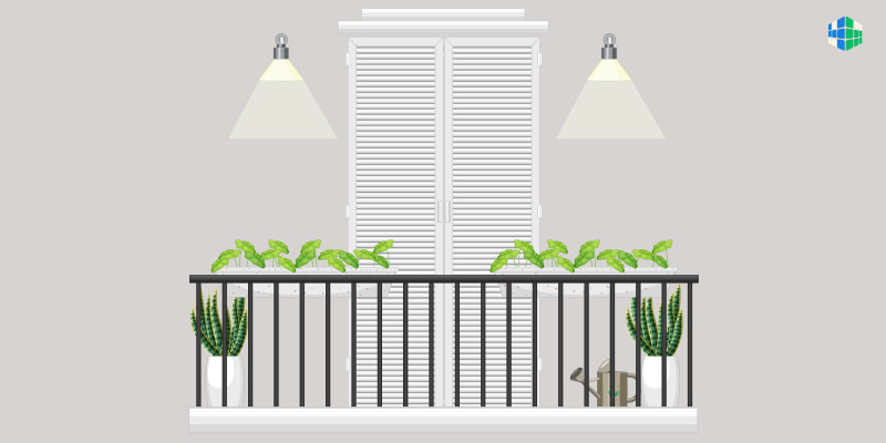 Ботаника на дому – огород на подоконнике, который улучшает качество жизни