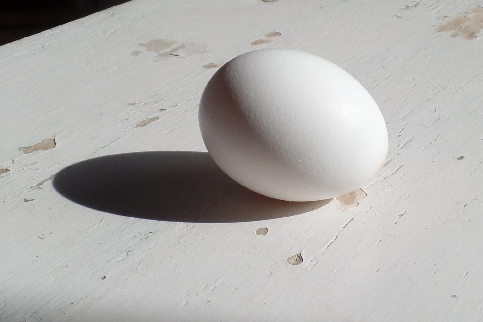 Рисуем яйцо исходное изображение