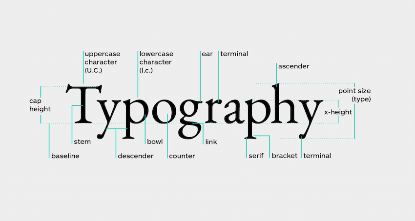 Типографические термины