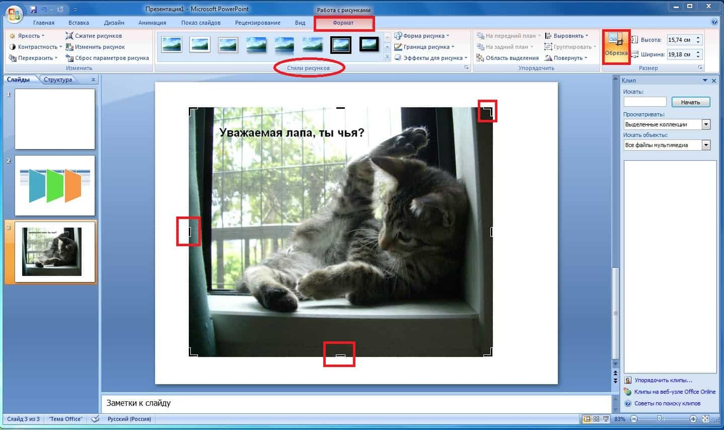 Обрезка в PowerPoint
